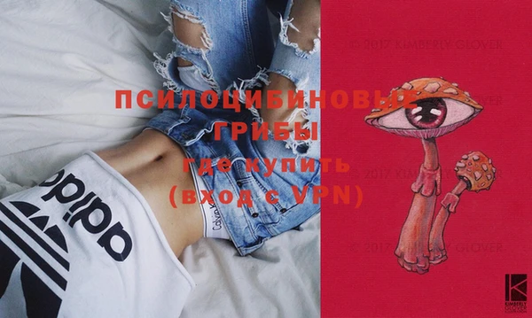 спиды Михайловка