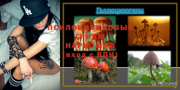 винт Ахтубинск
