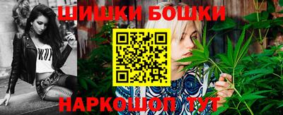 скорость Гатчина