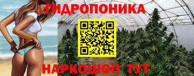 скорость Гатчина