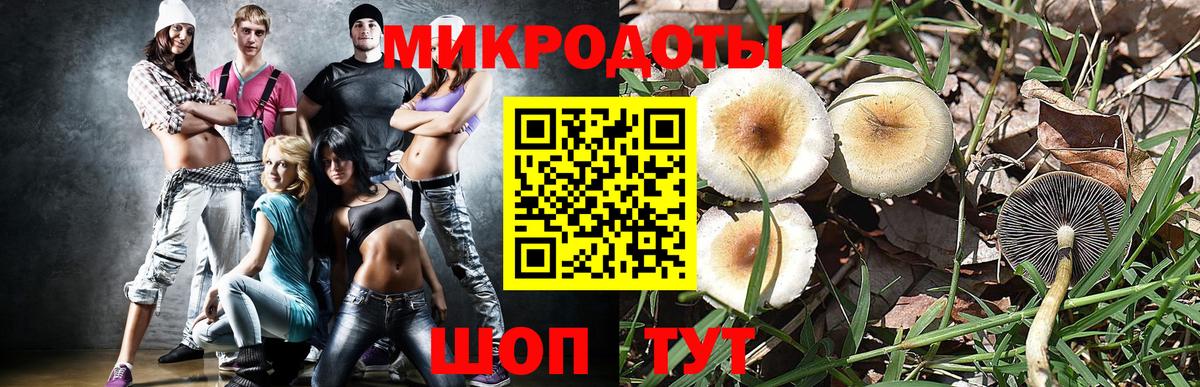 Дмитров  Галлюциногенные грибы прущие грибы  Галлюциногенные грибы Cubensis  Вход с VPN 
